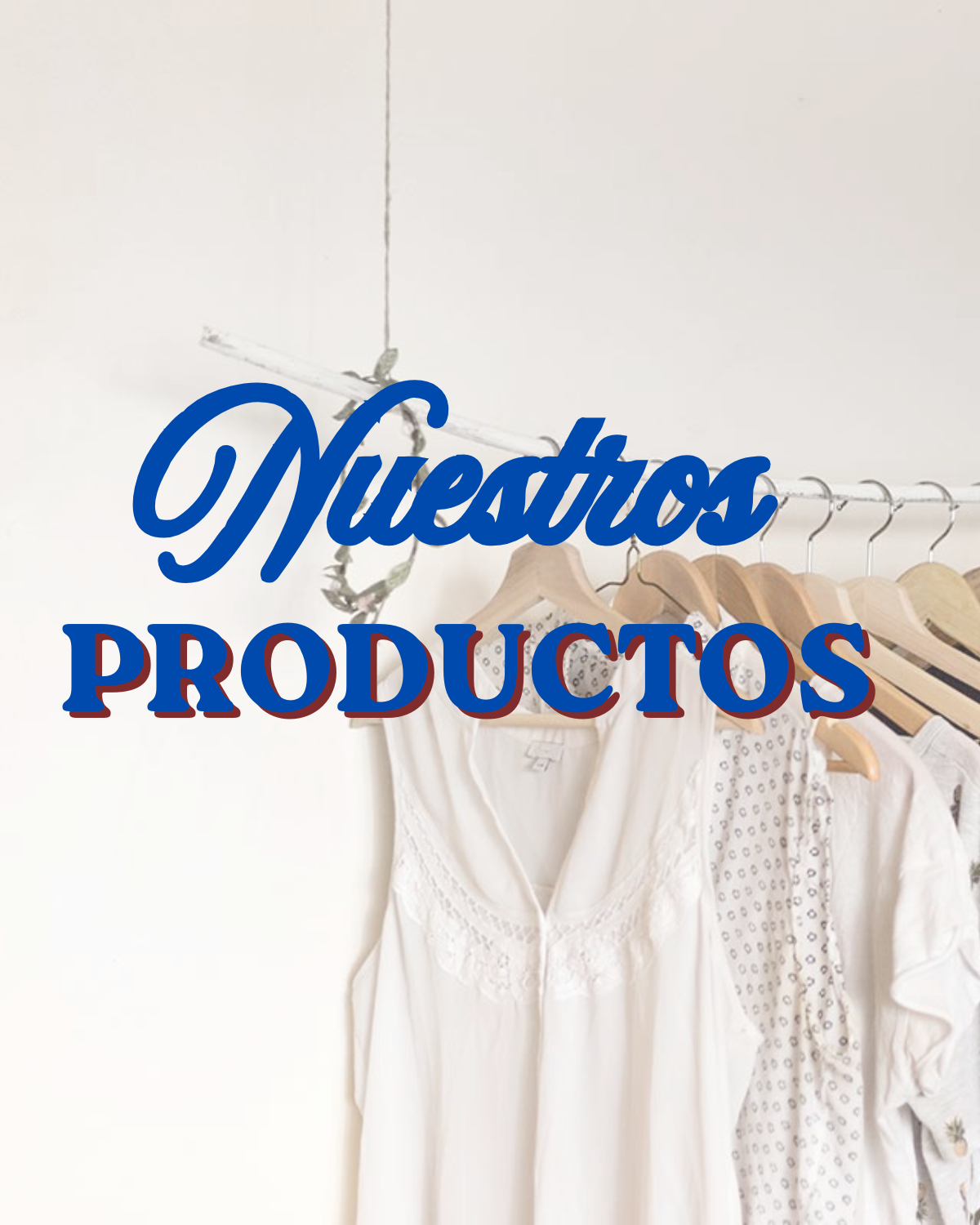 Conoce nuestros productos